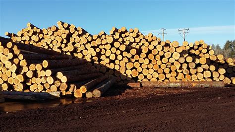 Parker lumber - Parker Lumber, Burnsville, North Carolina. 259 likes · 2 were here. Timber buyers and mulch sales.